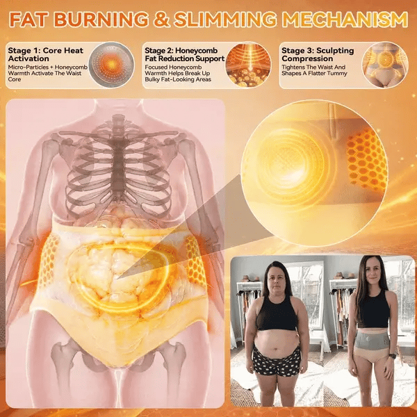 🎖️𝐎𝐟𝐟𝐢𝐜𝐢𝐚𝐥 𝐁𝐫𝐚𝐧𝐝 𝐒𝐭𝐨𝐫𝐞 |✨𝟐𝟎𝟐𝟔 High-Waist Shaping Briefs🧬Feel Light & Energetic Every Day